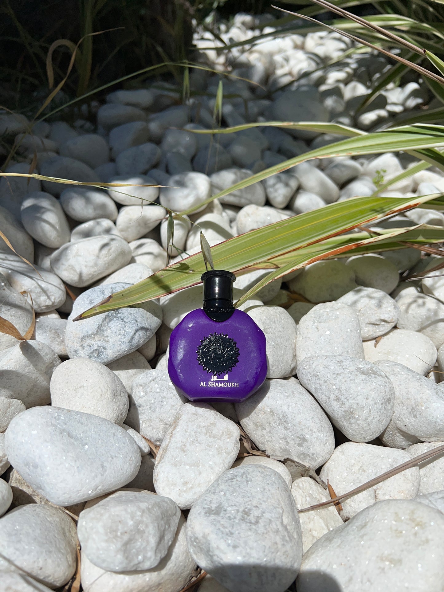 PARFUM Al Shamoukh Lattafa Femme
